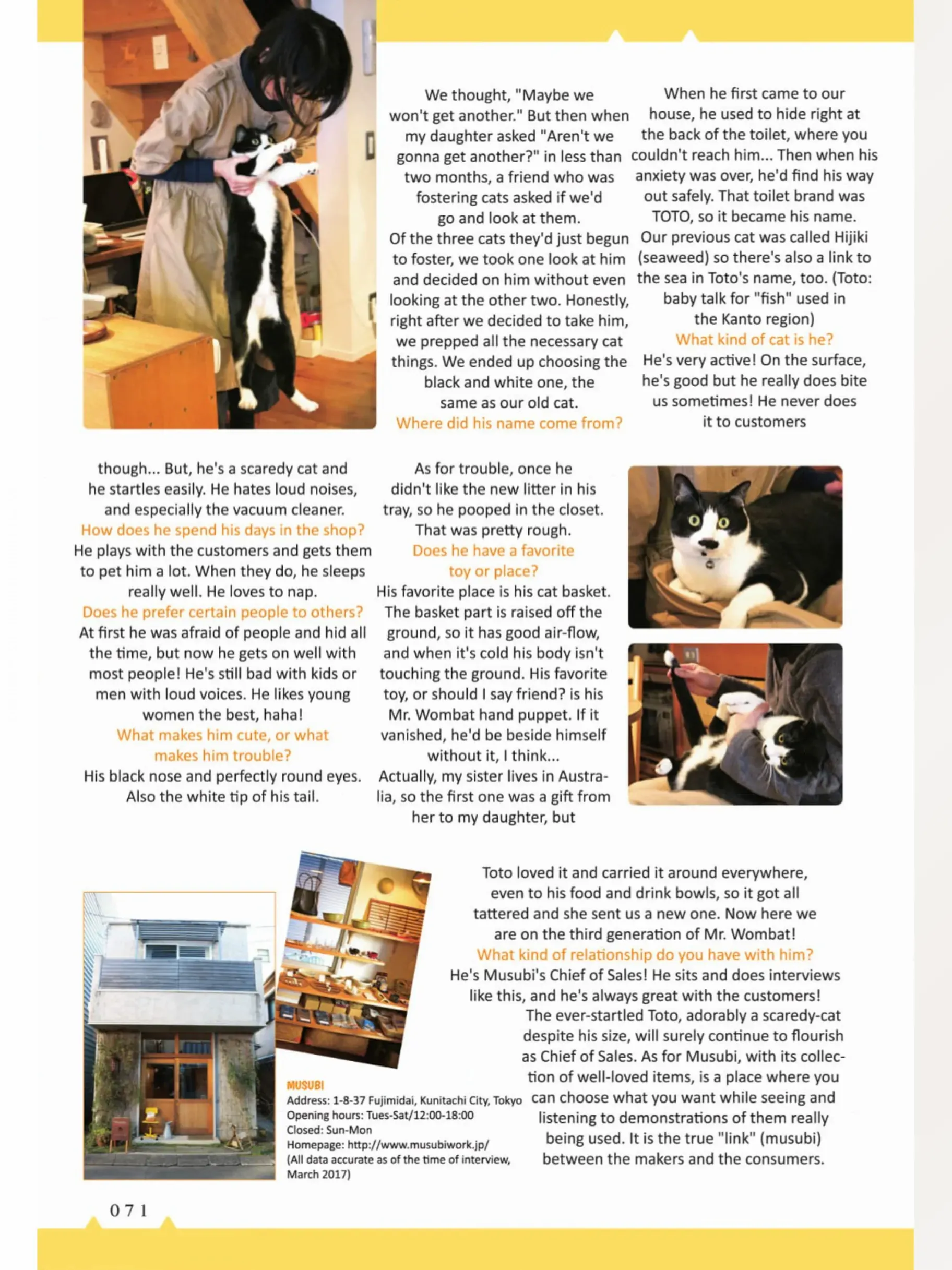 The Shop Cats Of Tokyo: A From Cat Avenue - Chapter 7