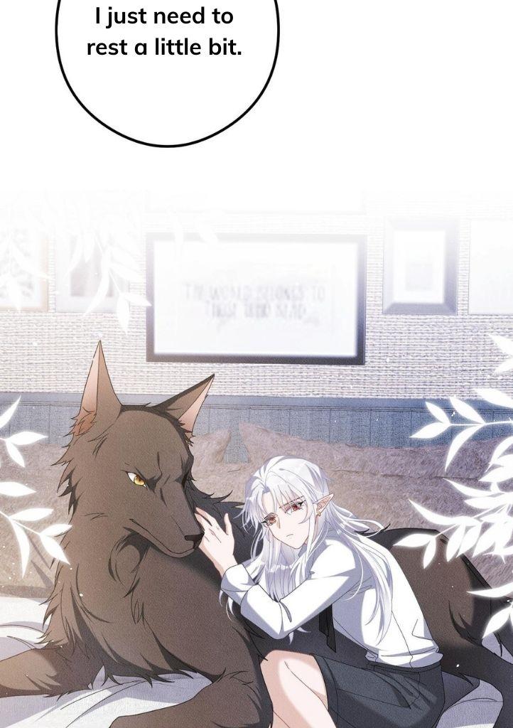 Hello, My Wolf - Chapter 28