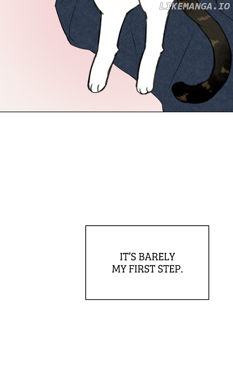 Want To See My Cat? - Chapter 39