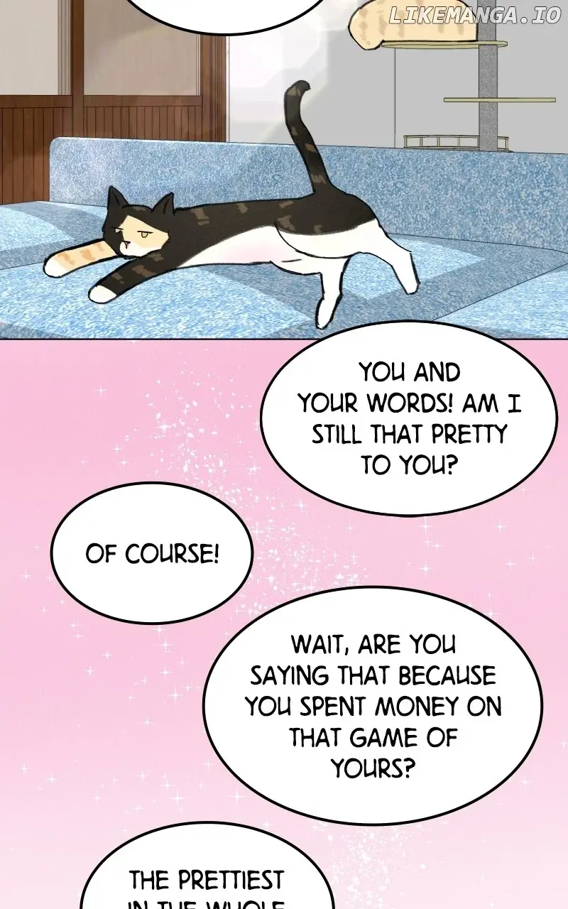 Want To See My Cat? - Chapter 26