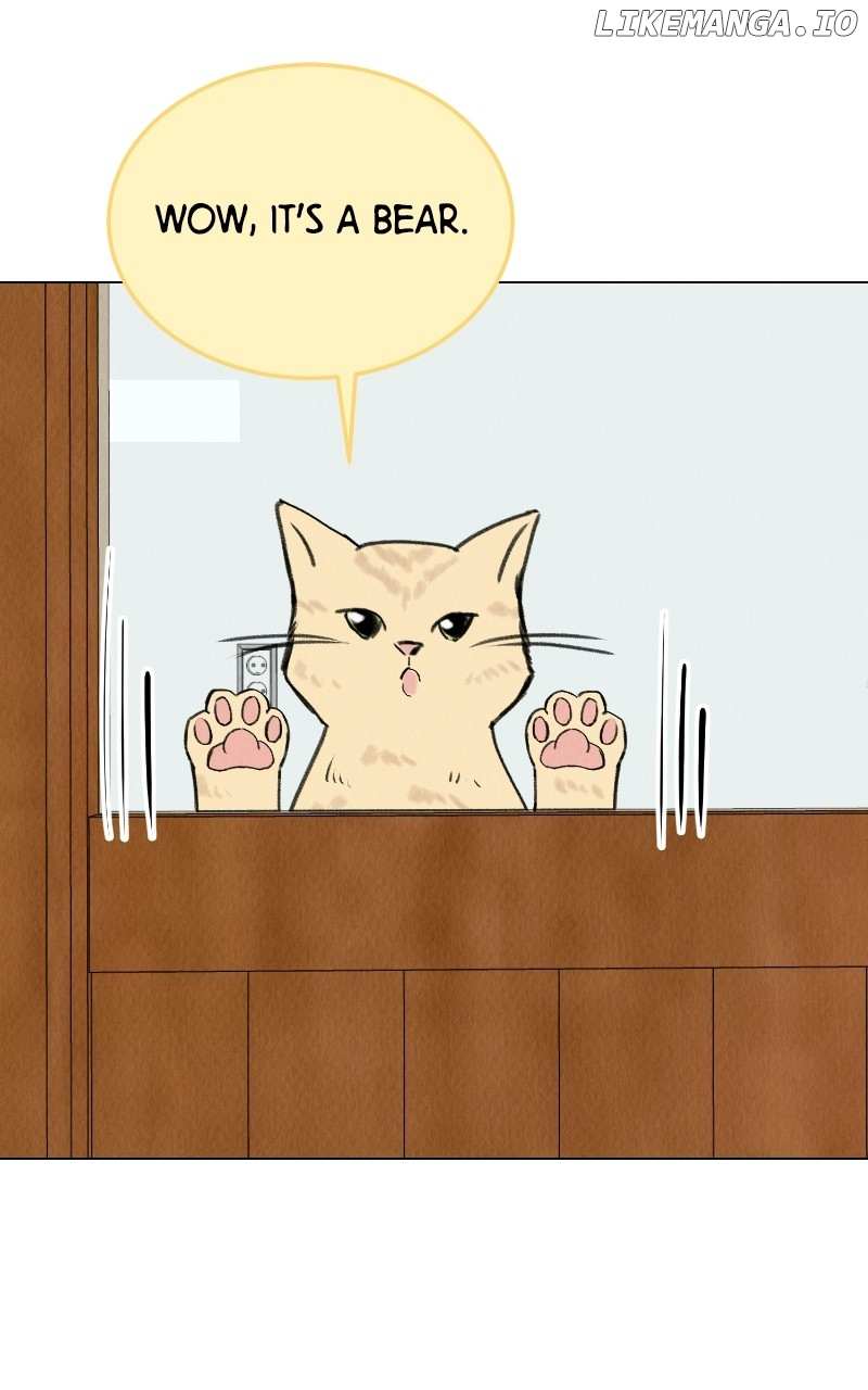 Want To See My Cat? - Chapter 38