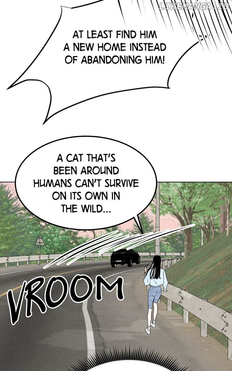 Want To See My Cat? - Chapter 30