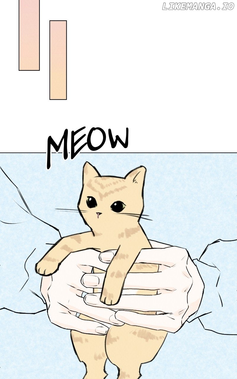 Want To See My Cat? - Chapter 31