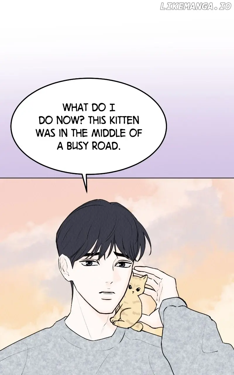 Want To See My Cat? - Chapter 29