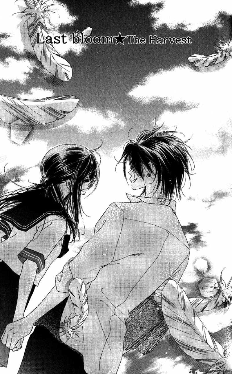 Kiss/Hug - Chapter 14 : The Harvest