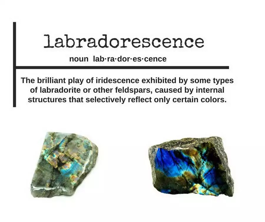 Labradorescence - Chapter 1