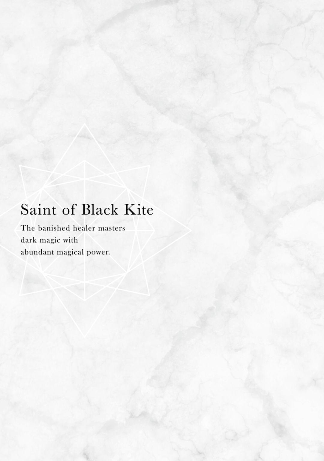 Saint Of Black Kite~ The Banished Healer Masters Dark Magic With Abundant Magical Power - Chapter 11