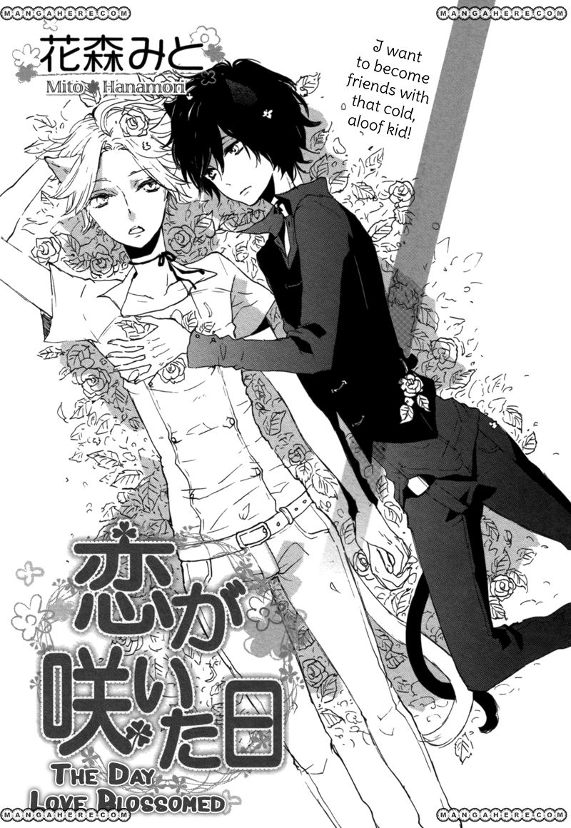 Koi Ni Ochite Kudasai - Chapter 1