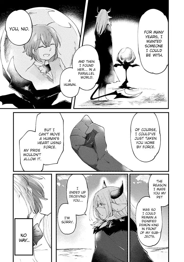 Vacation Maou To Pet - Chapter 9: The Demon King's Return