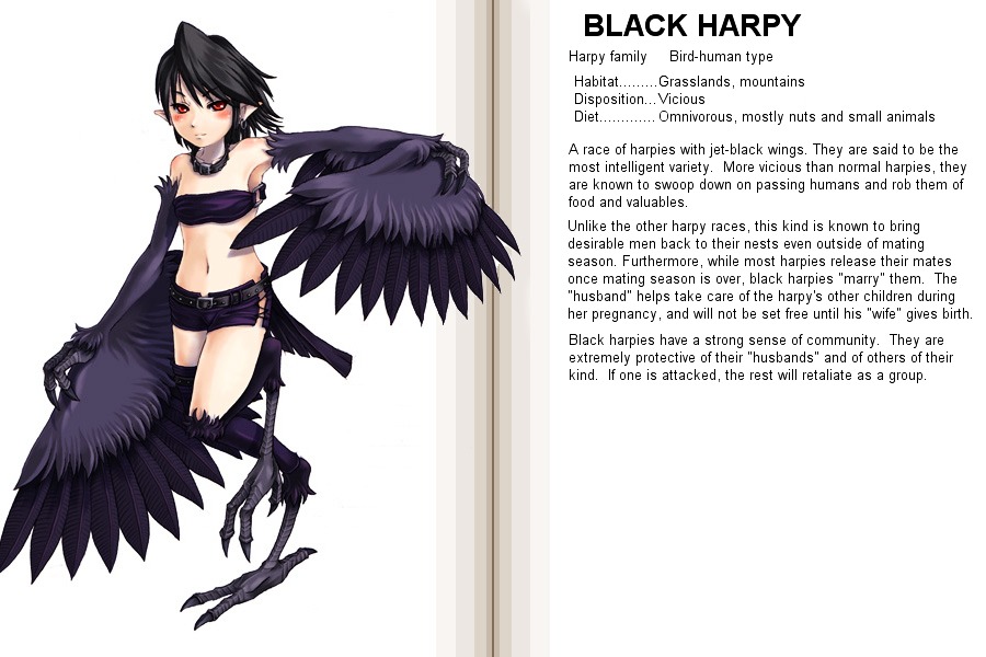 Monster Girl Encyclopedia - Chapter 0 : Monster Girl Encyclopedia