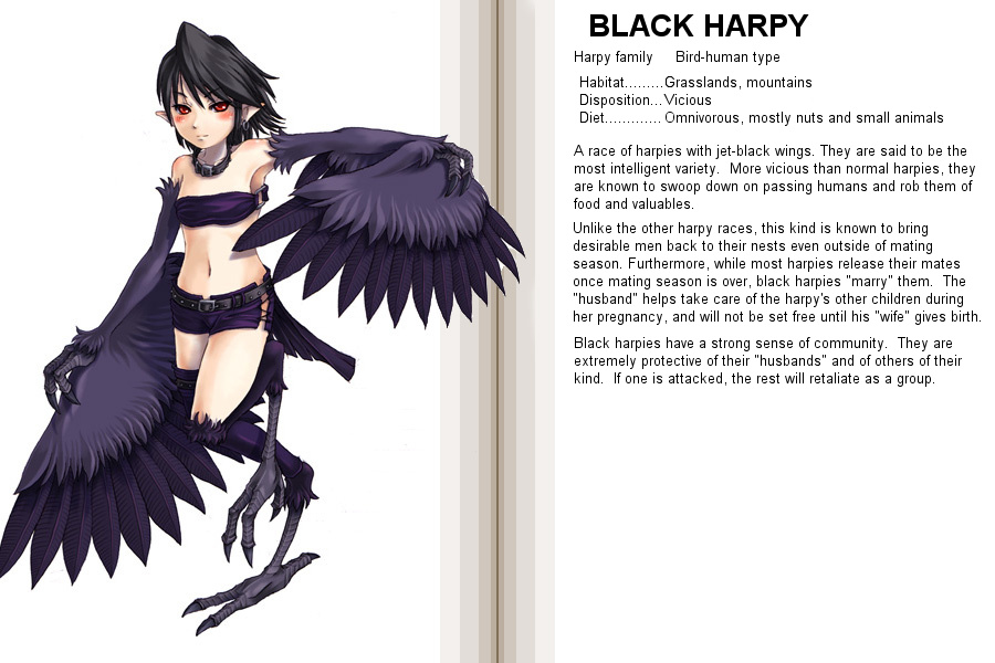 Monster Girl Encyclopedia - Chapter 0 V2 : Monster Girl Encyclopedia