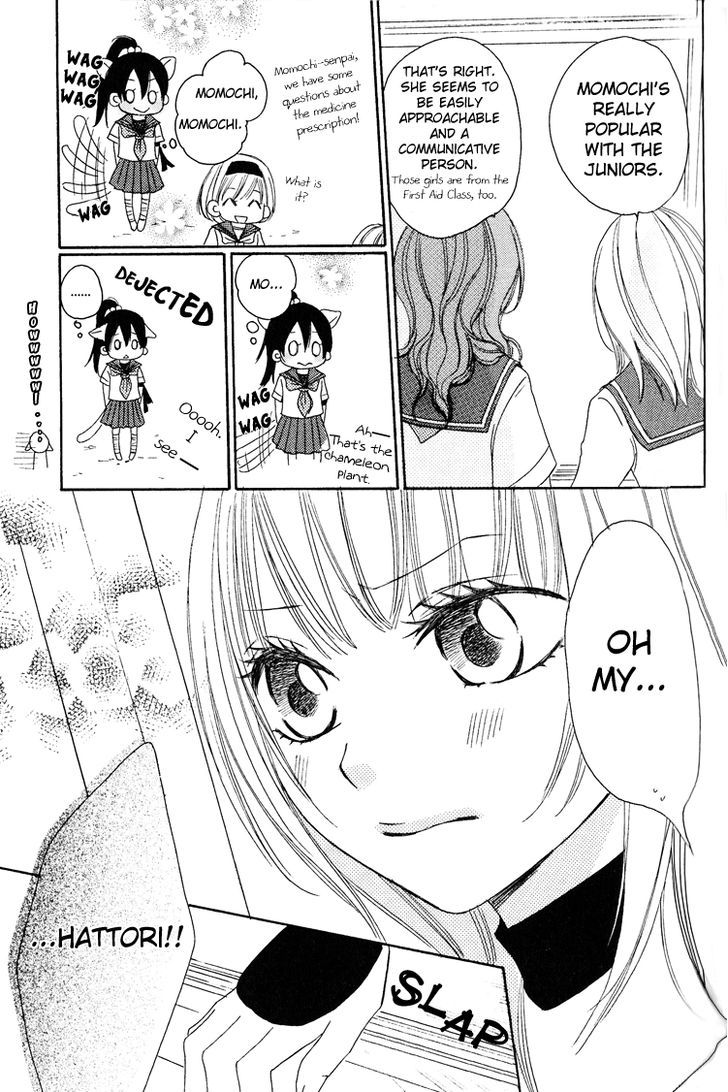 Honey Quartet - Vol.1 Chapter 4