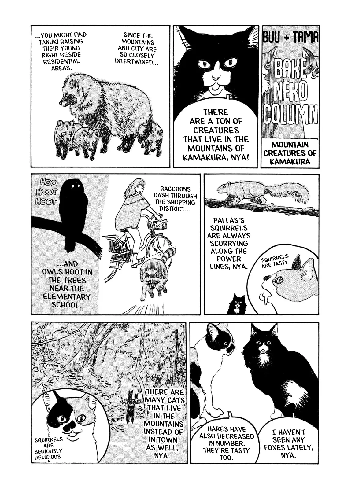 Kamakura Bakeneko Club - Chapter 7.5: Bakeneko Column: Mountain Creatures Of Kamakura