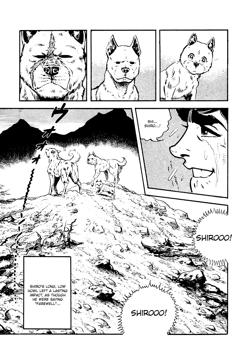 Survival - Vol.5 Chapter 82 : Danger 18