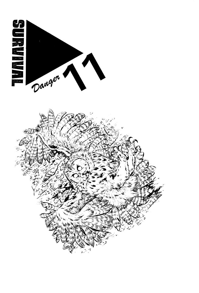 Survival - Chapter 11 : Danger 11