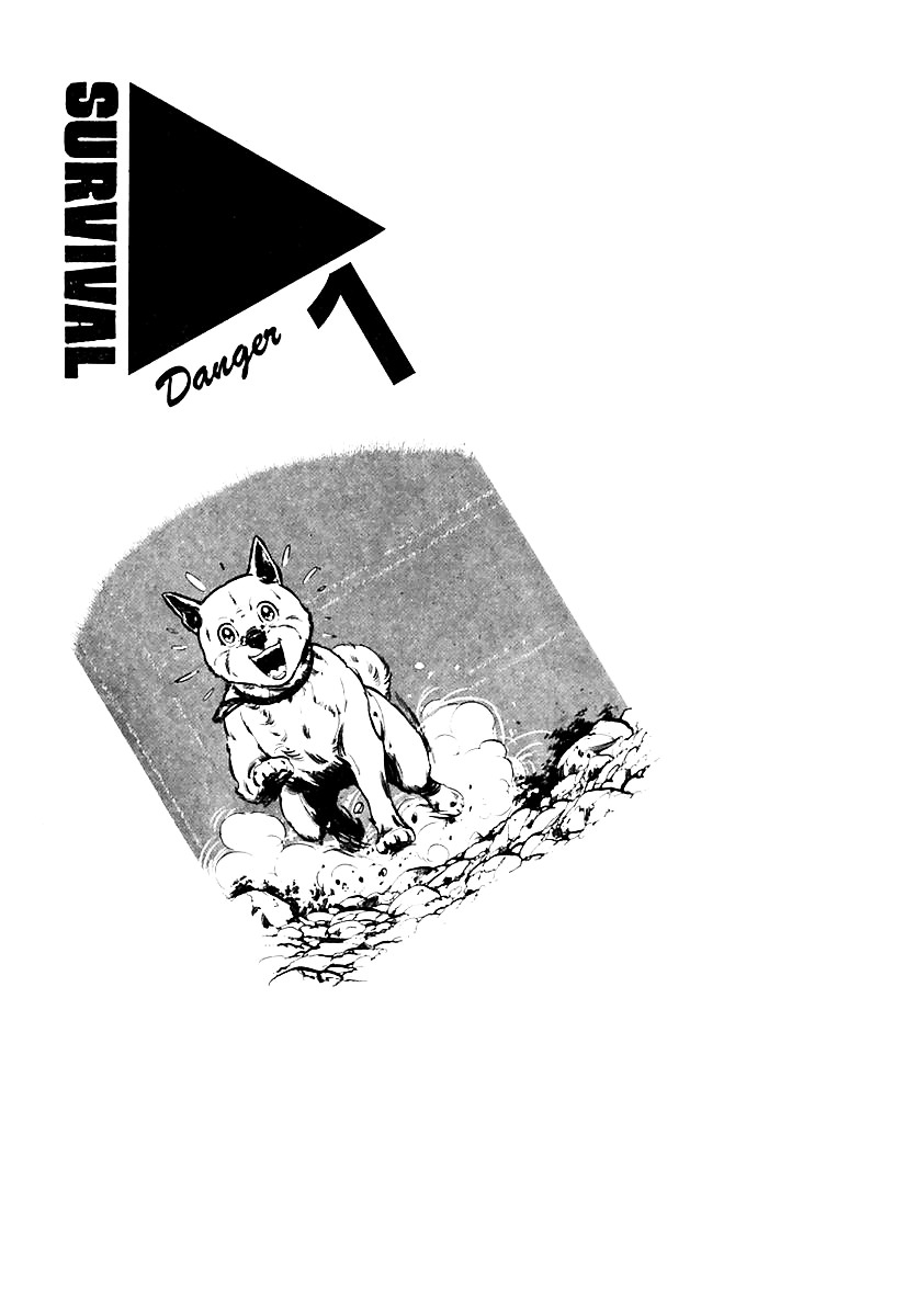 Survival - Vol.5 Chapter 65 : Danger 1