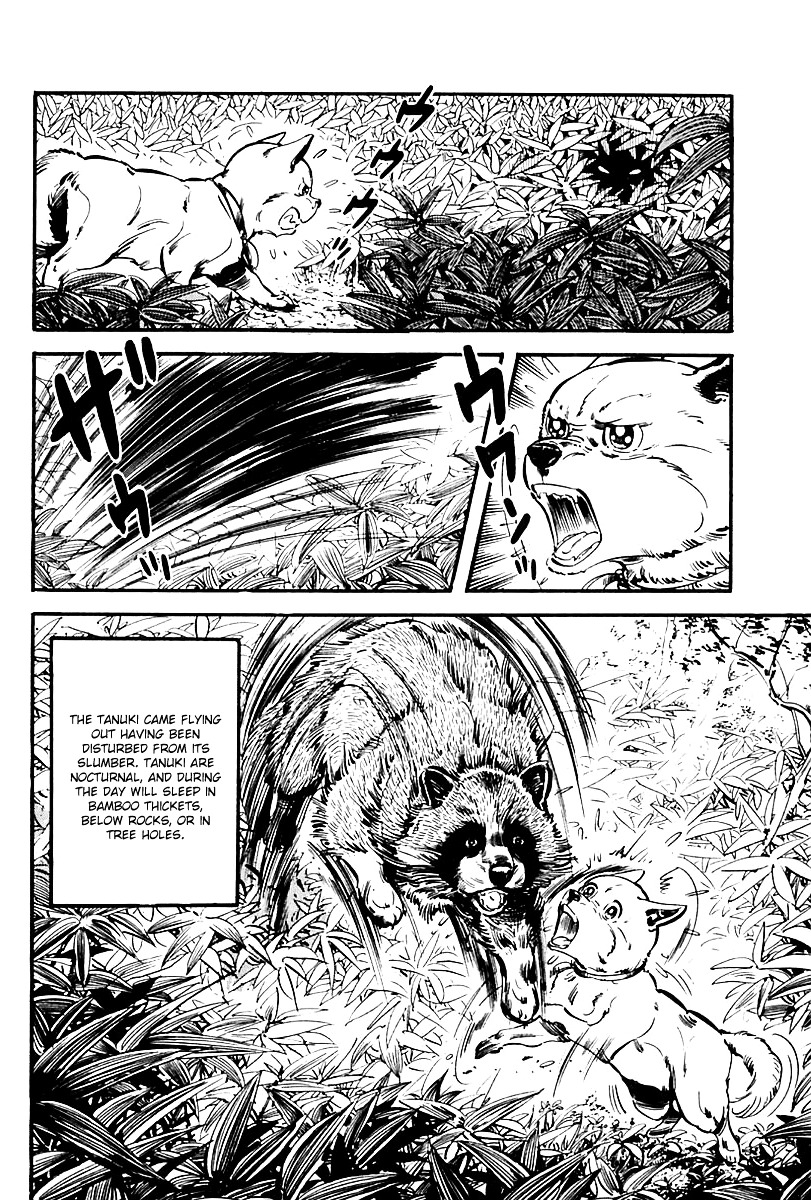 Survival - Vol.5 Chapter 65 : Danger 1