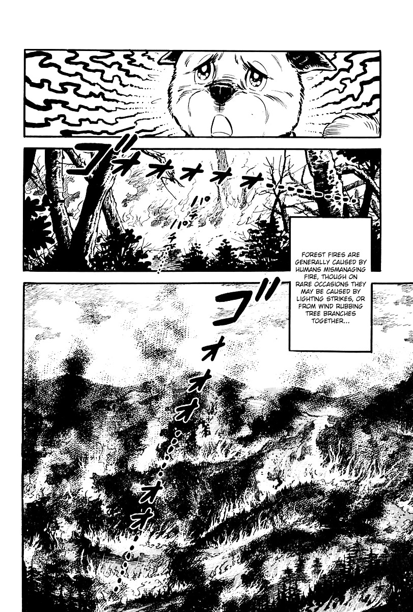 Survival - Vol.5 Chapter 65 : Danger 1