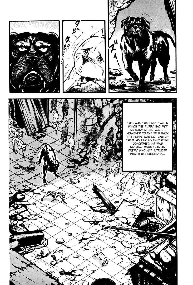 Survival - Vol.5 Chapter 65 : Danger 1