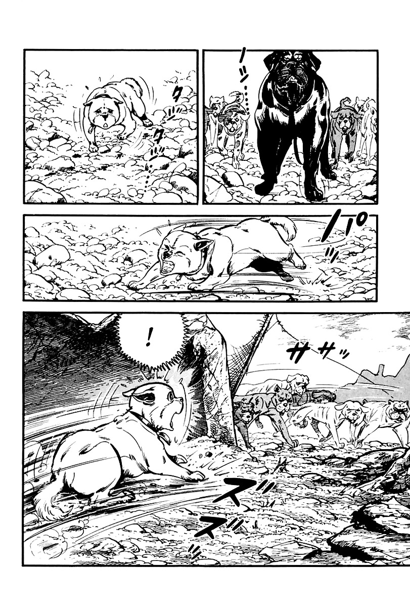 Survival - Vol.5 Chapter 65 : Danger 1