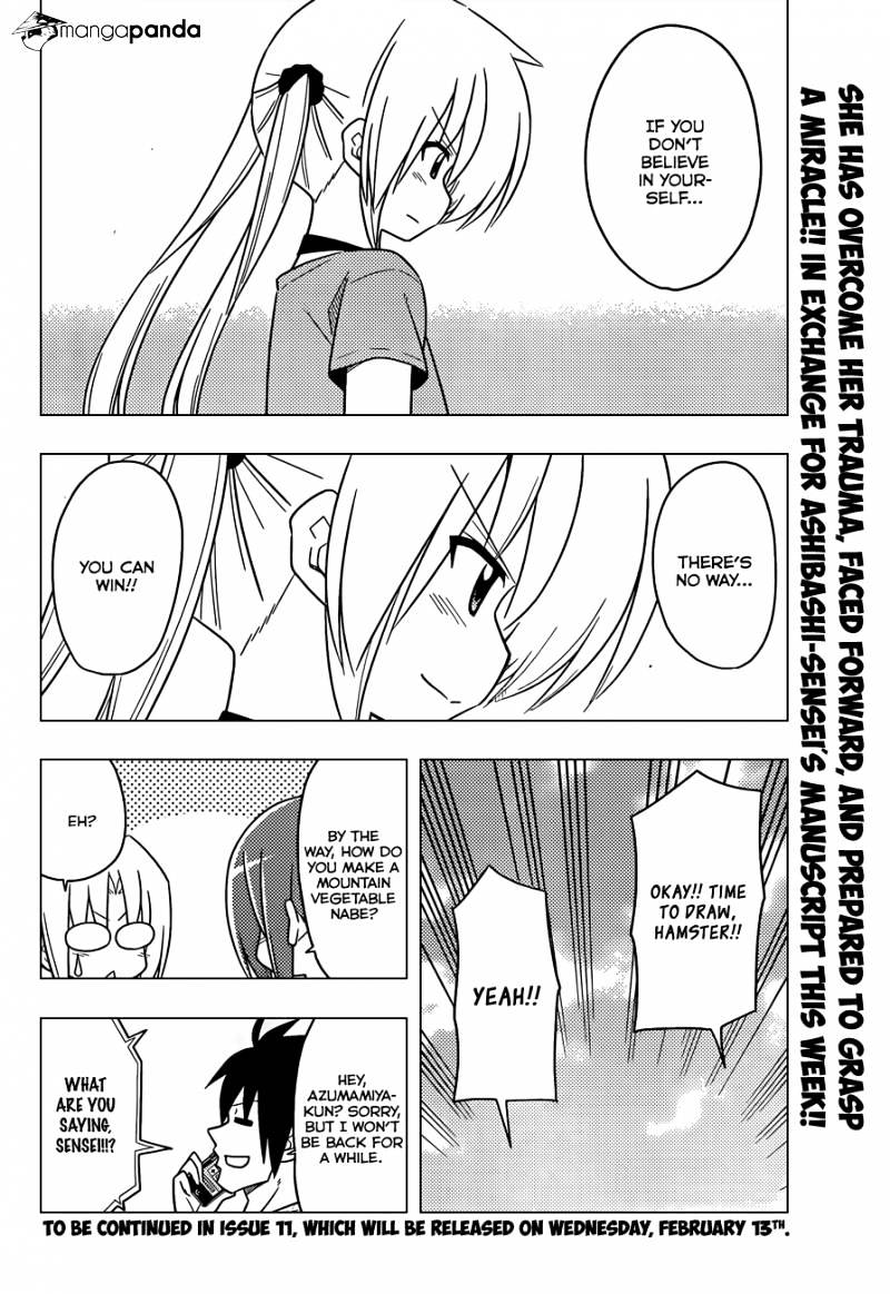 Hayate No Gotoku! - Chapter 394 : Nishizawa Ayumu S Heated Classroom