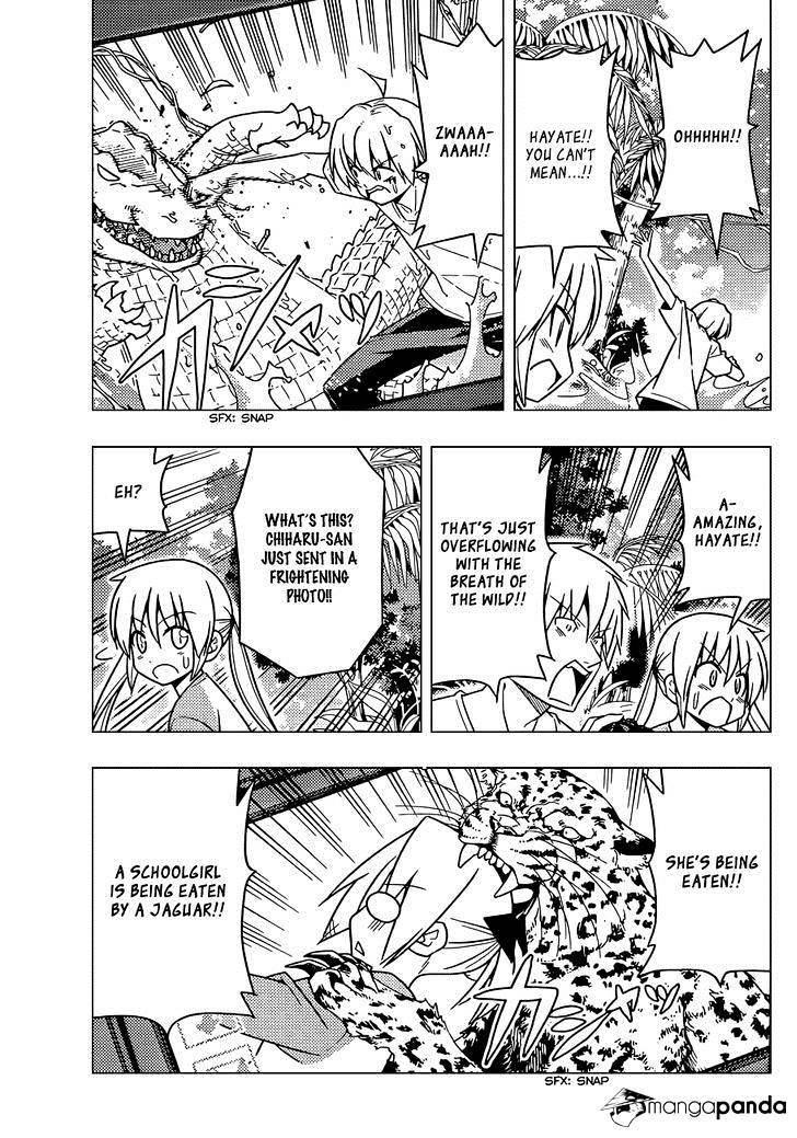 Hayate No Gotoku! - Chapter 495 : It Is Not The Strong Who Win. The Winners Win