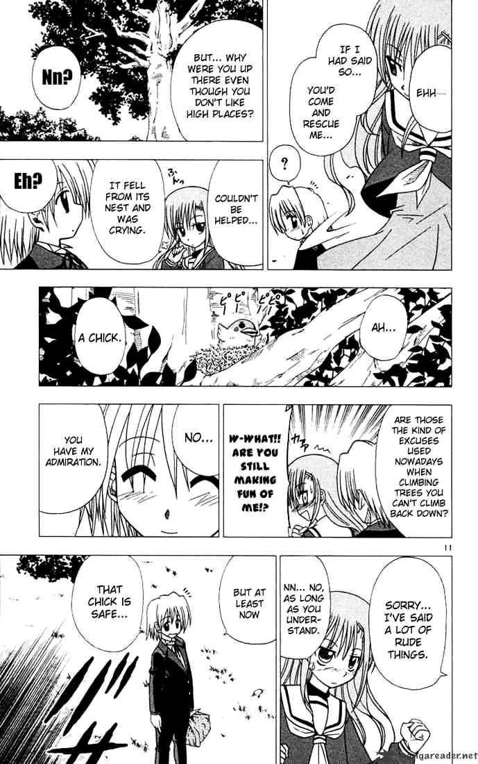 Hayate No Gotoku! - Chapter 35 : Its Not Like Idiots, Smoke And Cats Like To Ascend To High Places