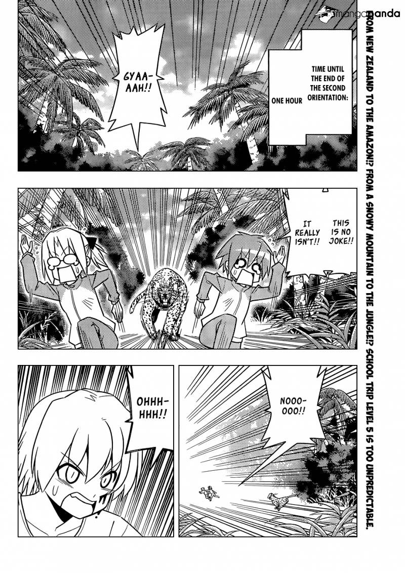 Hayate No Gotoku! - Chapter 494 : The Wild Kingdom - The Real Jungle Cruise