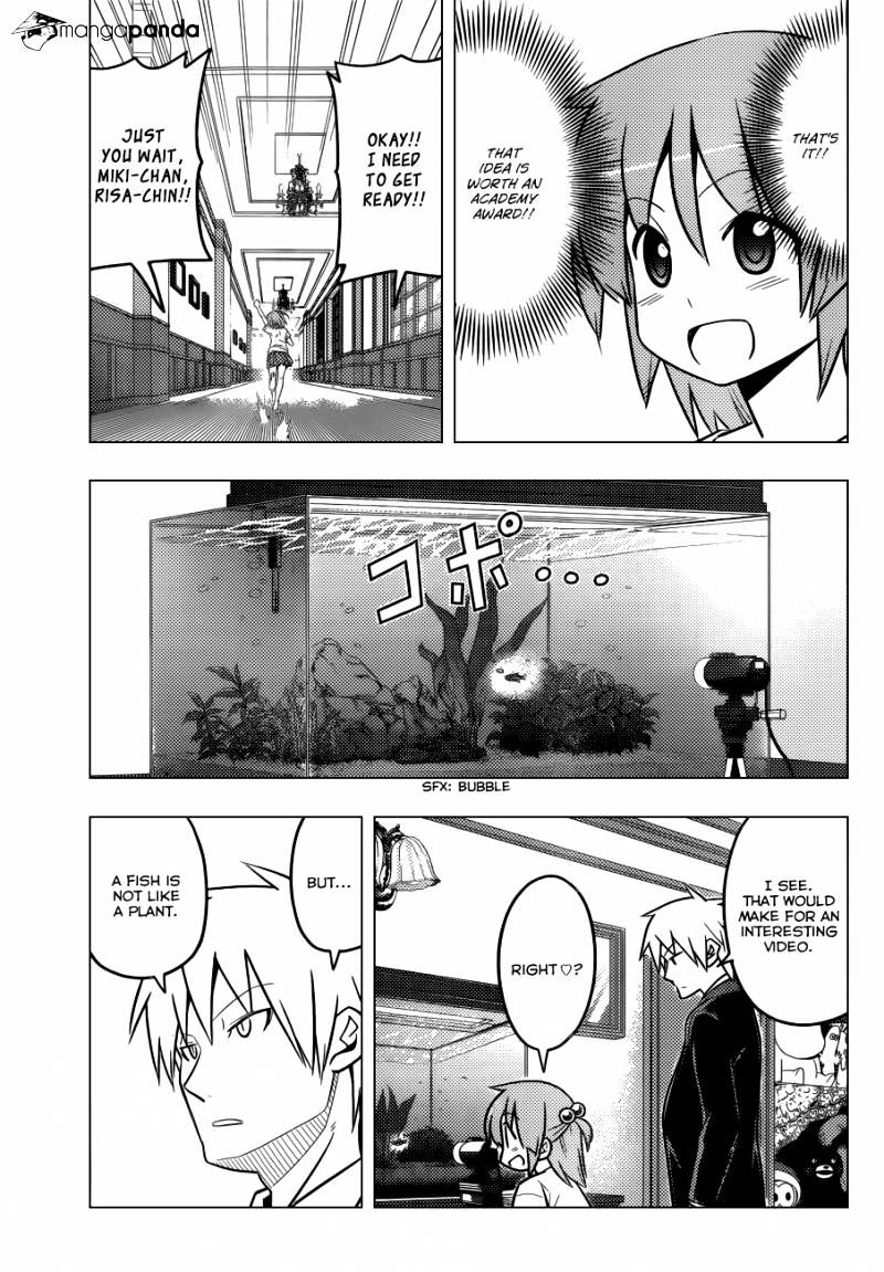 Hayate No Gotoku! - Chapter 447 : A Lot Of Changes In 10 Years