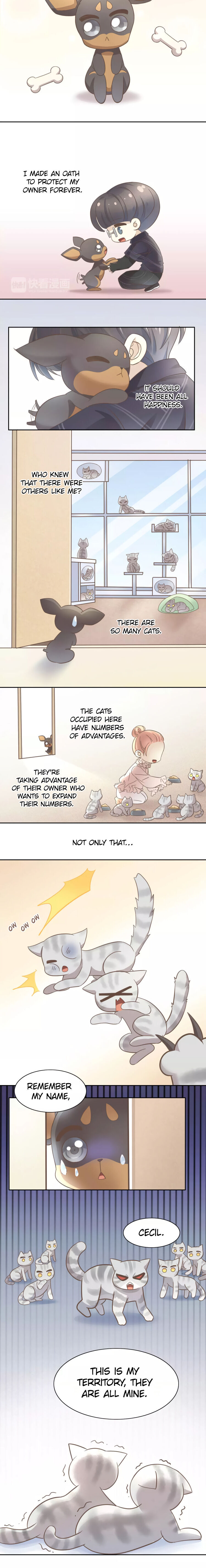 Under The Paws Of Cats - Chapter 28