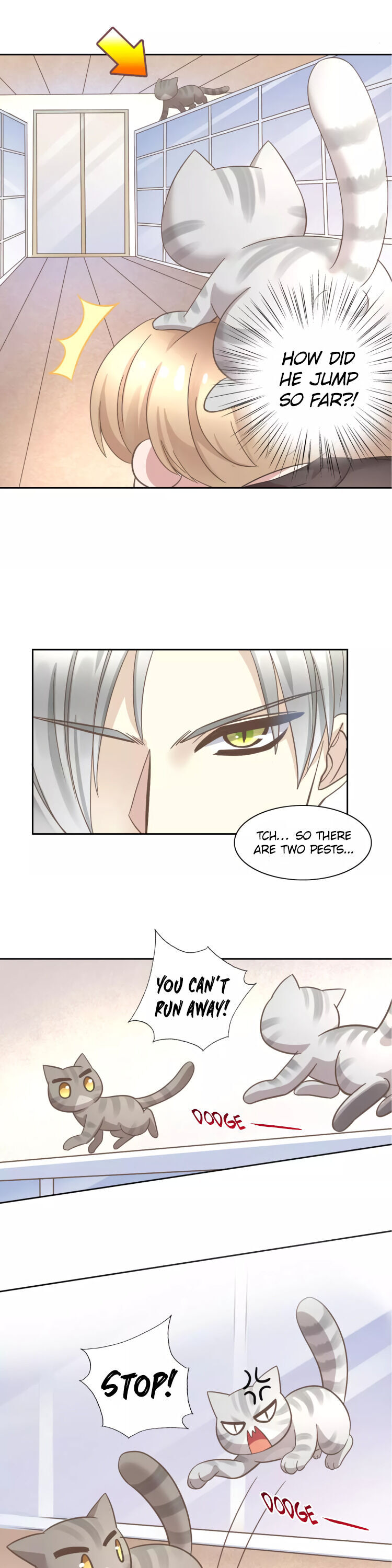 Under The Paws Of Cats - Chapter 28