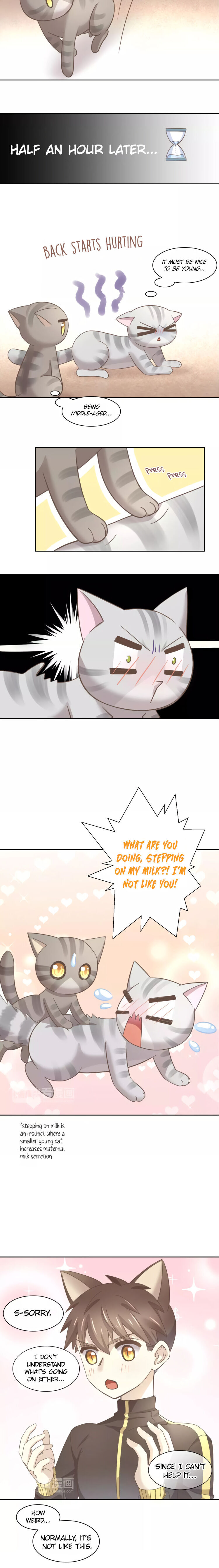 Under The Paws Of Cats - Chapter 28