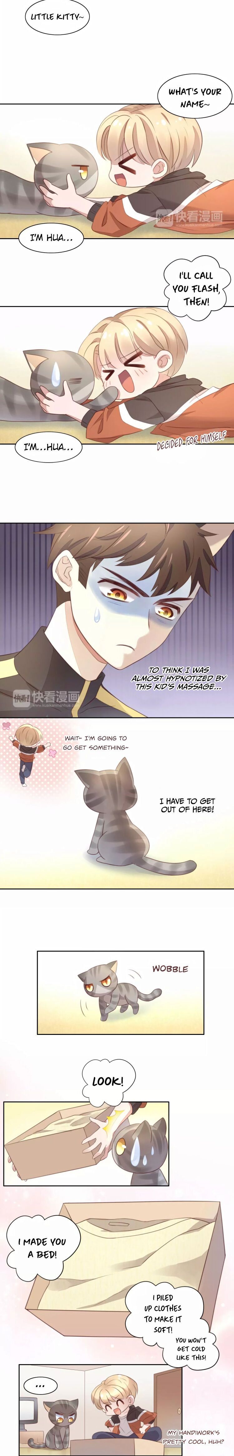 Under The Paws Of Cats - Chapter 20