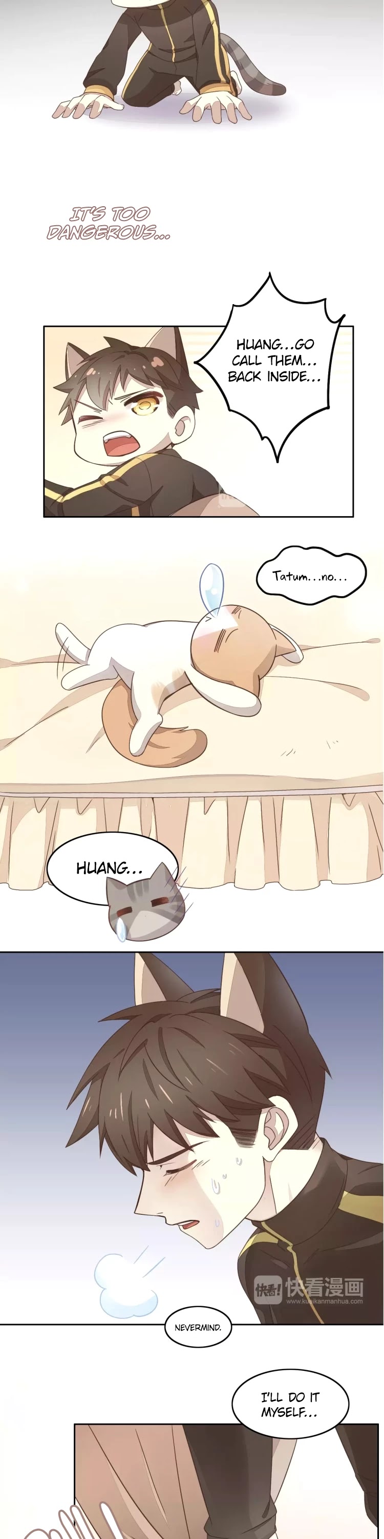 Under The Paws Of Cats - Chapter 19: The Feeling Of Being Taken Care Of