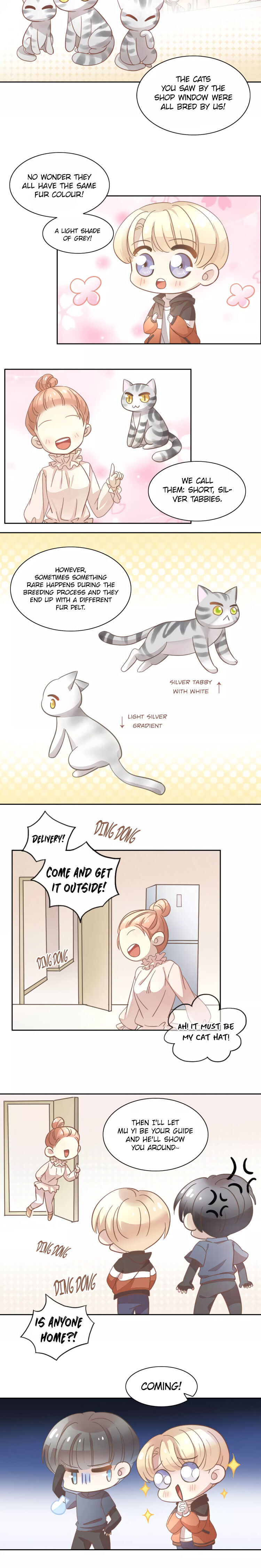 Under The Paws Of Cats - Chapter 27