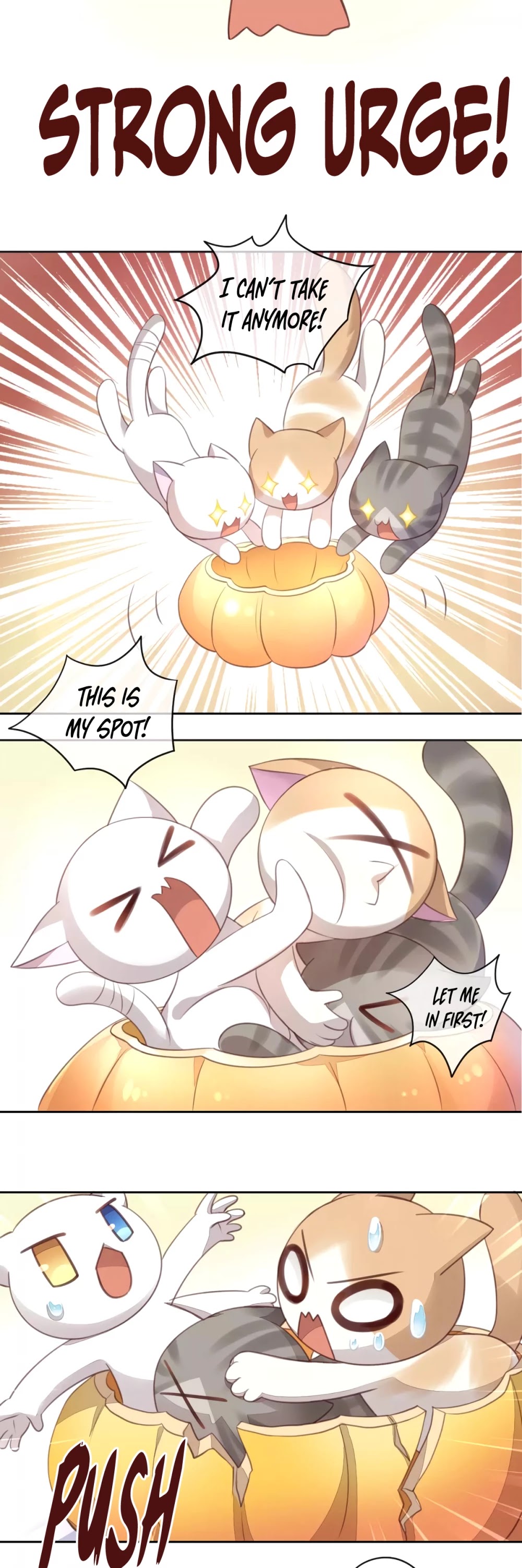 Under The Paws Of Cats - Chapter 18: Happy Halloween!