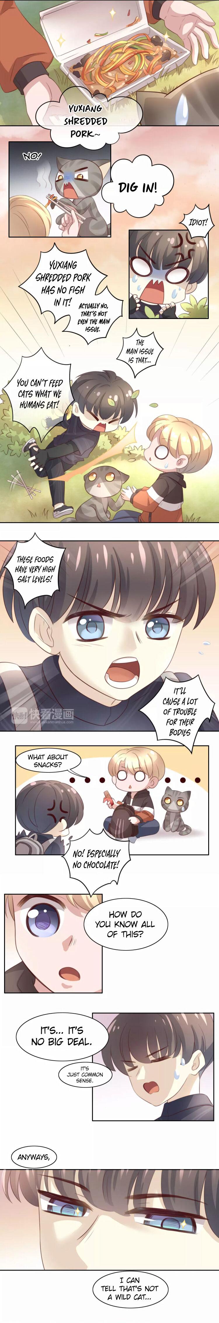 Under The Paws Of Cats - Chapter 23