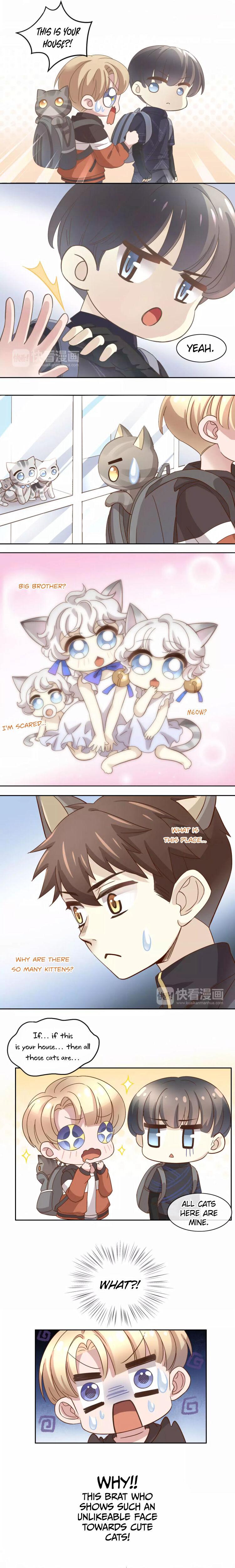 Under The Paws Of Cats - Chapter 23