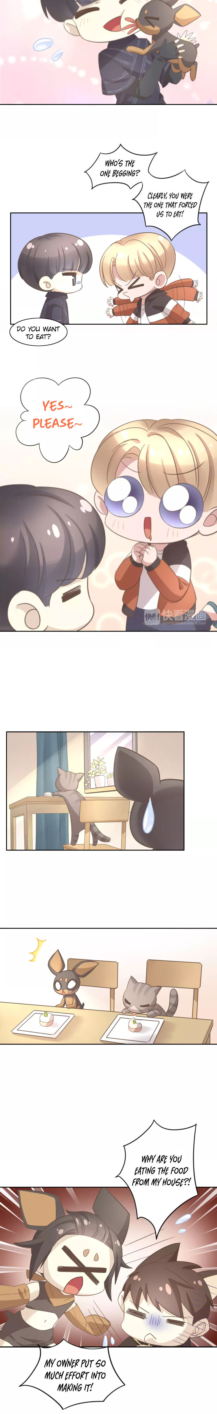 Under The Paws Of Cats - Chapter 25