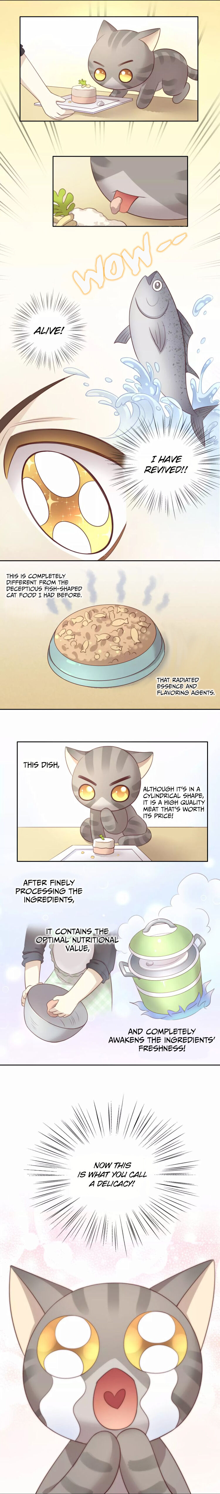 Under The Paws Of Cats - Chapter 24