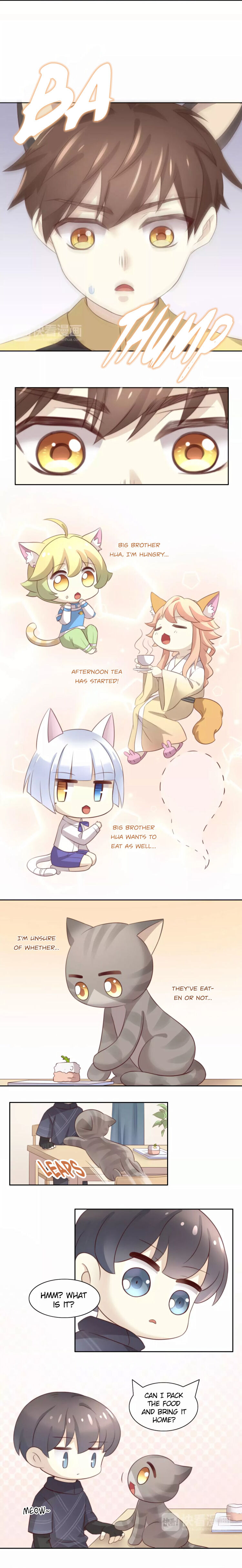 Under The Paws Of Cats - Chapter 24