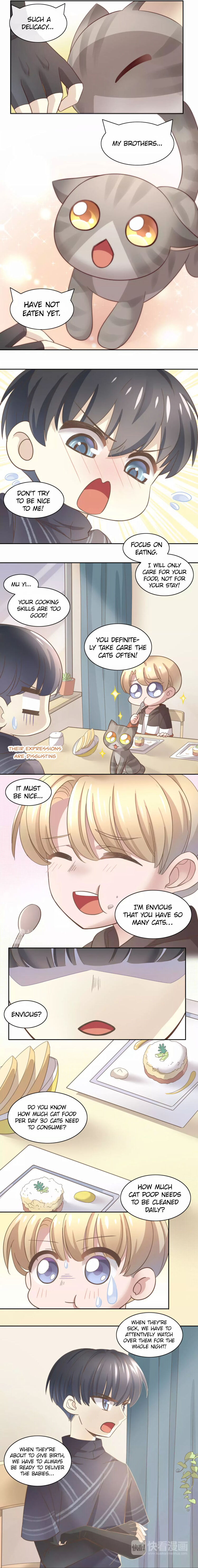 Under The Paws Of Cats - Chapter 24