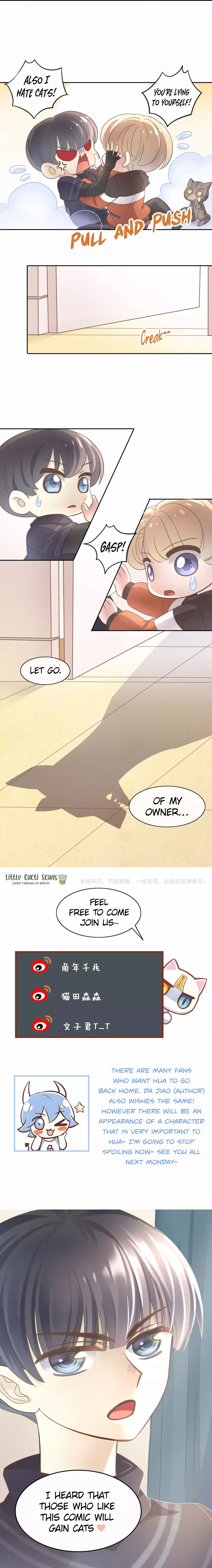 Under The Paws Of Cats - Chapter 24