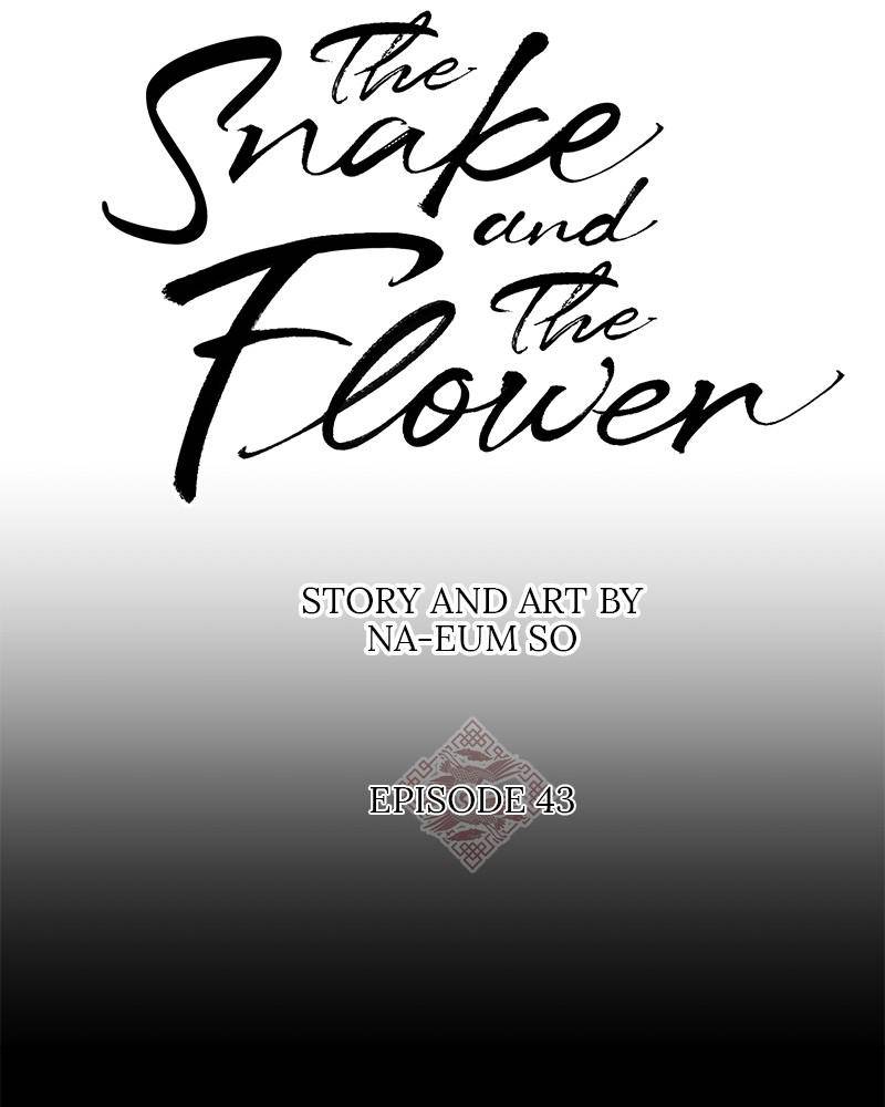 Do Snakes Eat Flowers? - Chapter 43