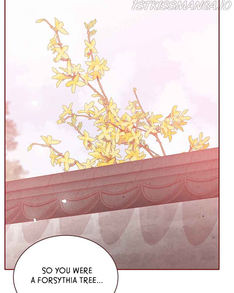 Do Snakes Eat Flowers? - Chapter 72