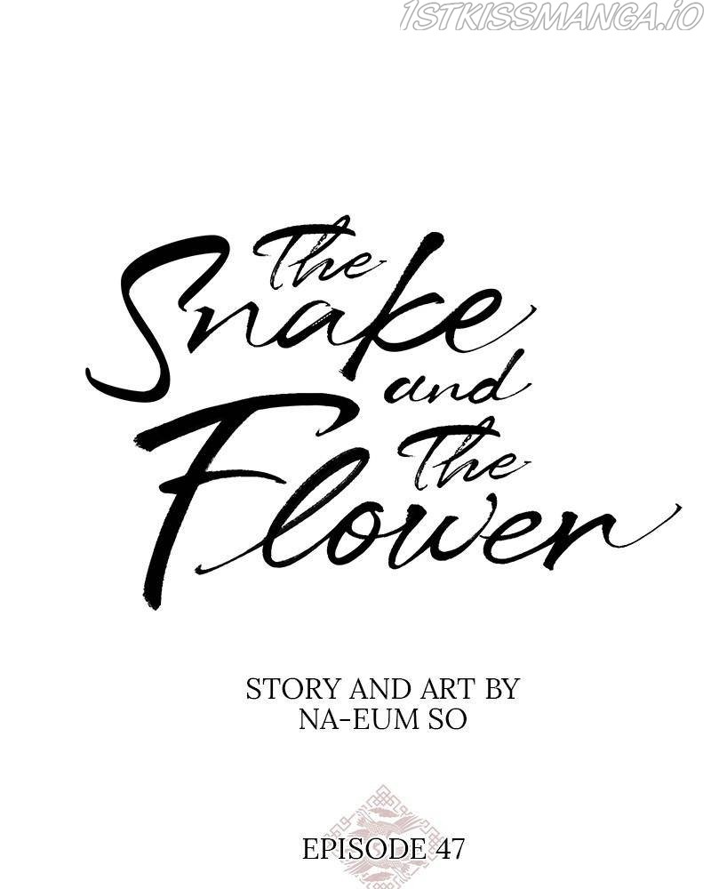 Do Snakes Eat Flowers? - Chapter 47