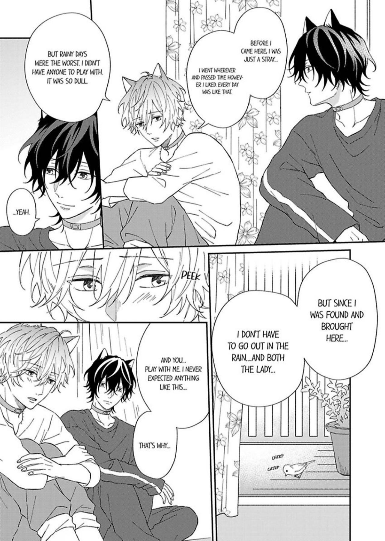 Haru To Rui No Nyanderful Love Life! - Chapter 2