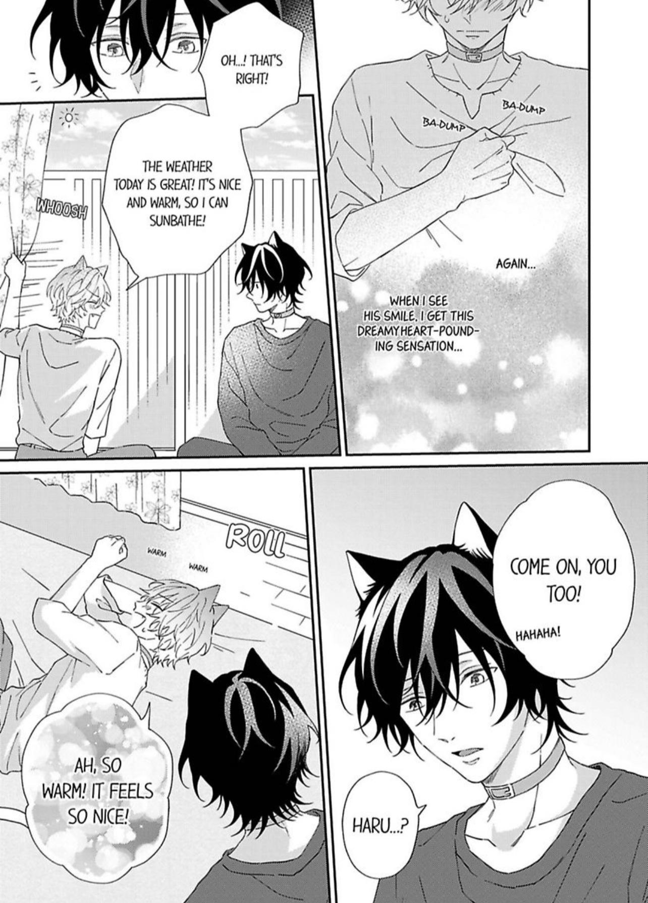 Haru To Rui No Nyanderful Love Life! - Chapter 2