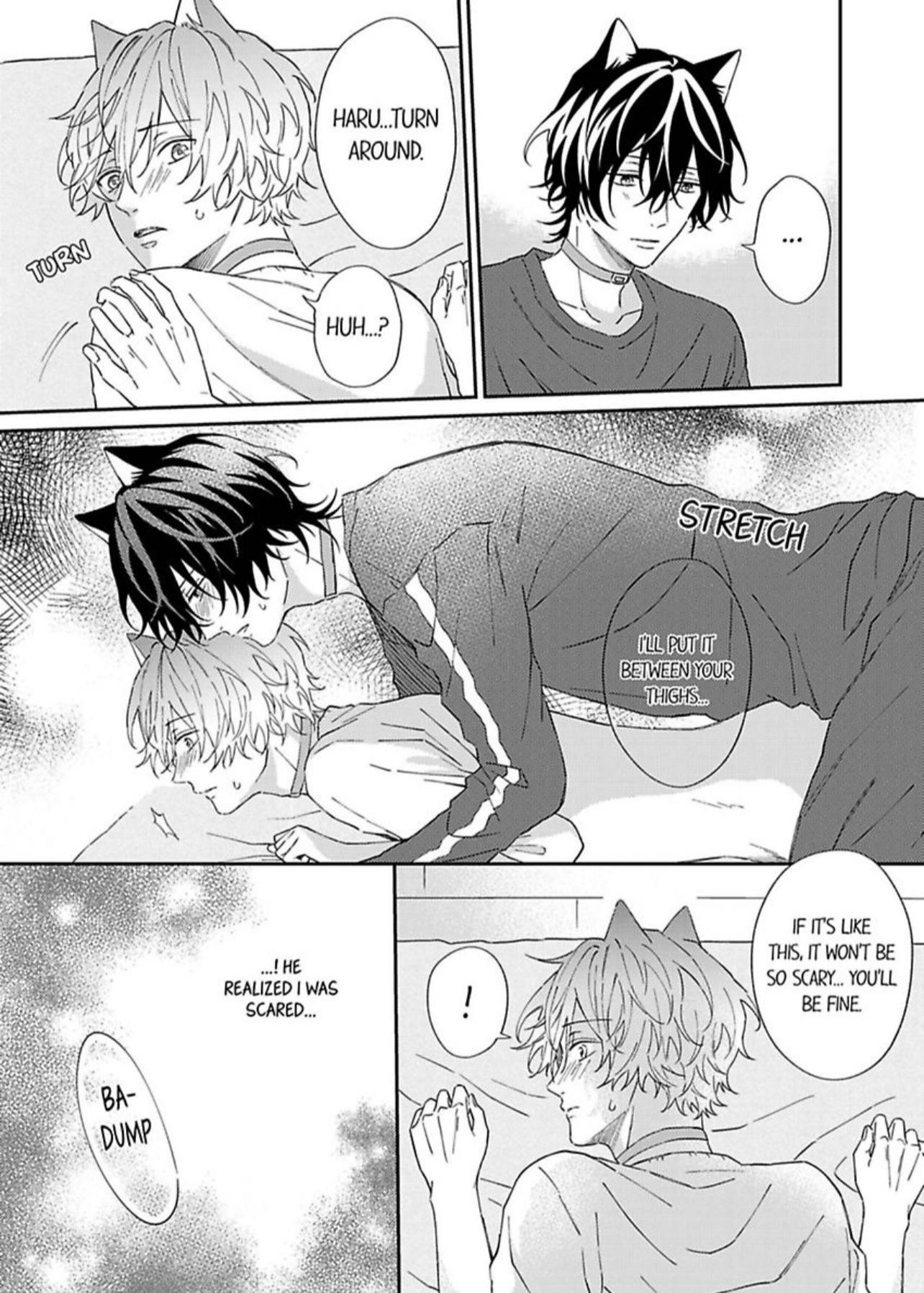 Haru To Rui No Nyanderful Love Life! - Chapter 2