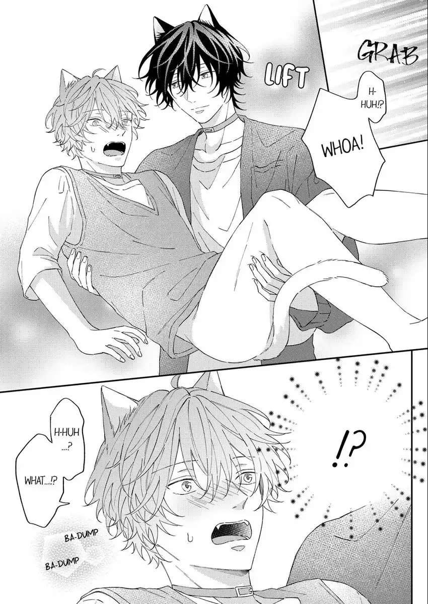 Haru To Rui No Nyanderful Love Life! - Chapter 10